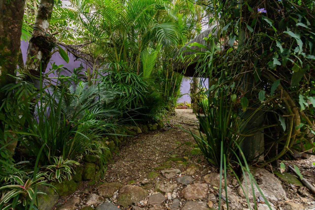 O Paraiso Em Peruibe Casa Para Ate 25 Pessoas Buitenkant foto